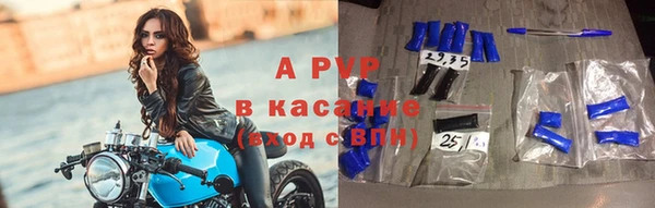 твердый Богданович
