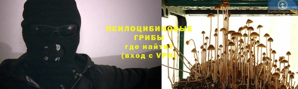 ALPHA PVP Беломорск