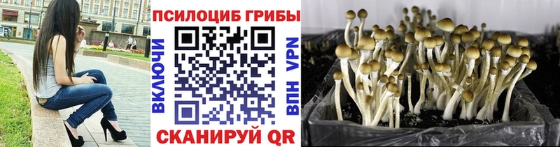 где продают наркотики  Очёр  Псилоцибиновые грибы MAGIC MUSHROOMS 